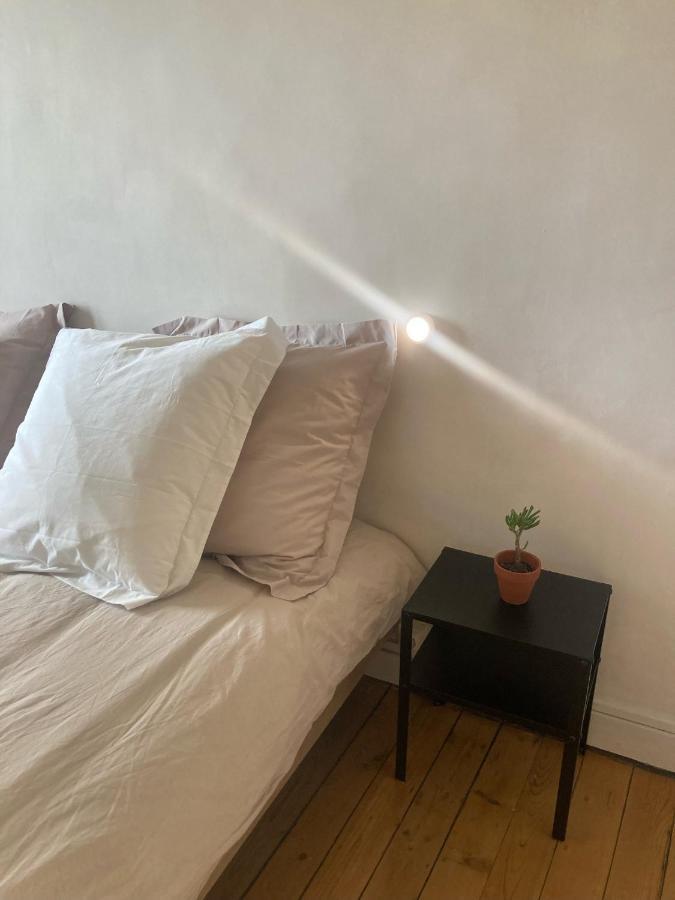 Cosy Face A La Mayenne Laval (Mayenne)
